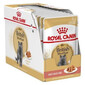 Royal Canin Adult British Shorthair 12 x 85g - vlhké krmivo pre dospelé britské krátkosrsté mačky v omáčke 12x85g
